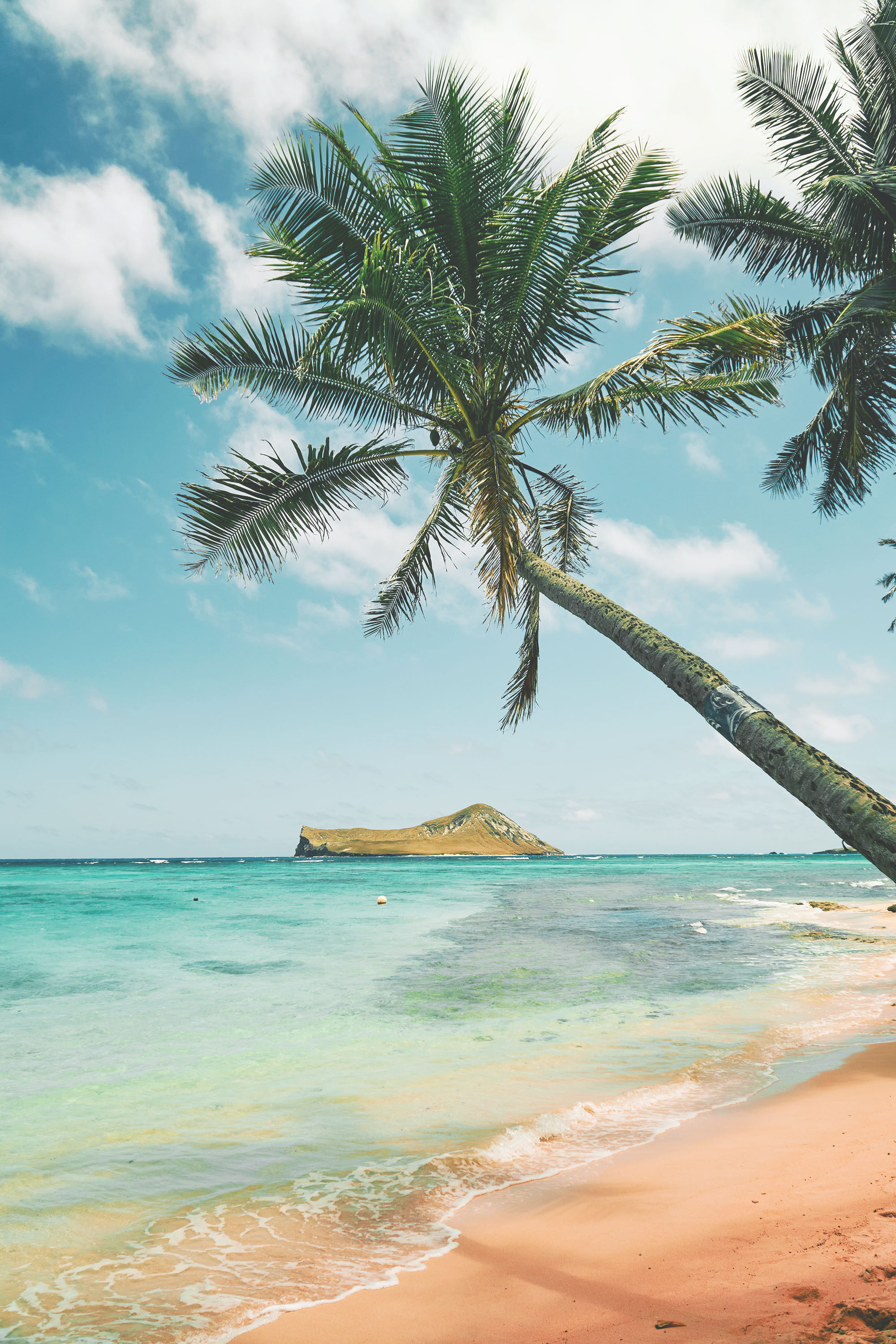 hawaii-image
